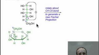 Anomers and Haworth Projections [upl. by Nylsej596]