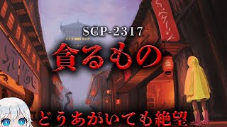 【SCP解説】 全てが終わる日へ向かって…世界終焉…。【SCP2317】 [upl. by Nichols]