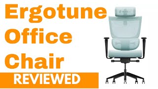 Ergotune Supreme Office Chair Reviewed [upl. by Selym]