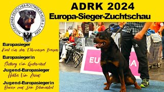 Gebrauchshundklasse Rüden  Rottweiler Europa Sieger Schau 2024 [upl. by Llevert]