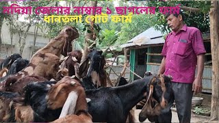 নদিয়া জেলার ২৪ বছরের পুরোনো ছাগলের ফার্ম westbangol Ranaghat নদিয়া [upl. by Adnoral]