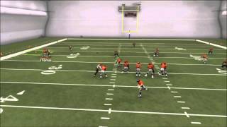 Madden 25 How to Rocket catch Goaline Fades [upl. by Ferdinanda]