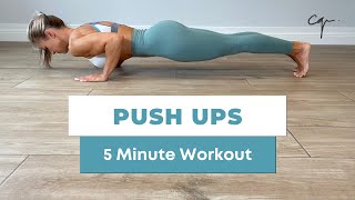 5 Minute Push Ups Workout at Home [upl. by Euqinobe]