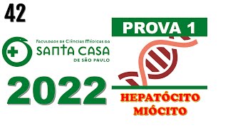 FMSCSP 2022 Um hepatócito tem a função de realizar funções como reservar o glicogênio [upl. by Fry]