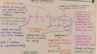 SAR of Cephalosporins ll Medicinal Chemistry ll sem 6 youtube pharmacy [upl. by Sabas]