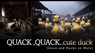 QUACK QUACKcute duck  Our Pet White Call Duck Quacking Quacking  Geese and Ducks on Water [upl. by Adnilre856]