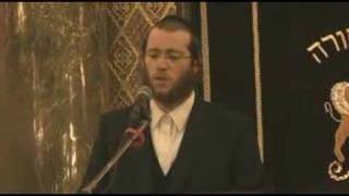 Chazzan Yaakov LemmerBeth El [upl. by Neelhtac]