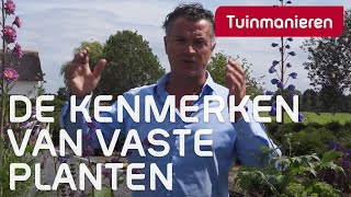 Wat zijn vaste planten  Tuinmanieren [upl. by Mcwherter]