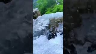 Relaxing nature sounds rivers peacefulplace shortvideo [upl. by Goldshell]