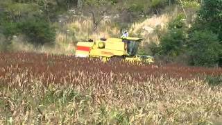 New Holland 8070 Thailand [upl. by Akemaj35]