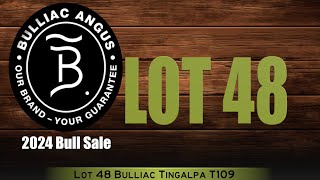 Lot 48 Bulliac Tingalpa T109 [upl. by Lole]