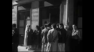 Chômage et formation professionnelle en Algérie 1949 [upl. by Sunda]