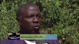 Emission Ciwara de CHERIFLA TV avec Mohamed TRAORE du 10 03 2017 [upl. by Aelrac]