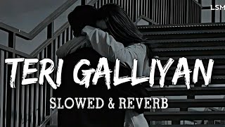 Teri galiyan slowed reverb lyrics [upl. by Adnarahs]