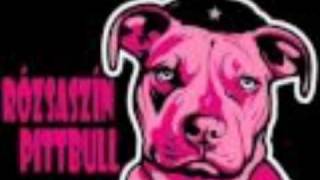 Rózsaszín Pitbull  Pilótakex [upl. by Ylil695]