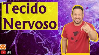 Tecido Nervoso  Características e Funções  Histologia Animal [upl. by Paradies]