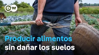 ¿Qué pueden hacer los agricultores para asegurar sus cosechas sin dañar los ecosistemas [upl. by Ahsimaj]