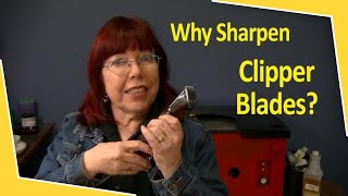 7 Reasons to Have a Clipper Blade Sharpening Business for Groomers Barbershops and Salons [upl. by Hackney]