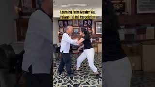 Push Hands with Master Wu Taiwan Tai Chi Association [upl. by Marci]