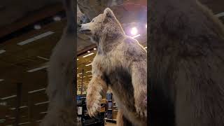 my visit to Bass Pro Shops in Harlingen TX [upl. by Audy]