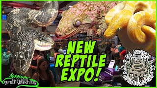 TOURING A NEW REPTILE EXPO  All American Reptile and Plant Expo Denver Co [upl. by Acinoryt]