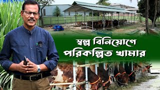 887স্বল্প বিনিয়োগে পরিকল্পিত গরুর খামার রই মানিক চিত্রপুরী। RIManikChitrapuri Krishichitra [upl. by Graaf]