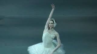 031018 Olesya Novikova Swan Lake Entrance of Odette [upl. by Ihsorih]