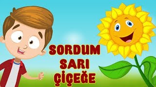 SORDUM SARI ÇİÇEĞE Muhteşem Çocuk İlahisi  Bibercik TV Çocuk İlahileri [upl. by Sileas]