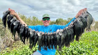 Giant Black Crappie in the Jungle amp Fried Back Bones Catch amp Cook [upl. by Dorwin]