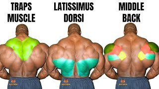 TOP 5 LAT MIDDLE BACK TRAPS WORKOUT WITH DUMBBELLS CABLE AND MACHINE AT GYM [upl. by Dorrie898]