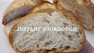 Sourdough Bread with Instant Yeast Recipe [upl. by Neehsas]