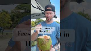 Spence’s 1st time trying young coconut in Oahu HI 🥥🌴hawaii fruitinhawaii coconut oahuhawaii [upl. by Notsur]