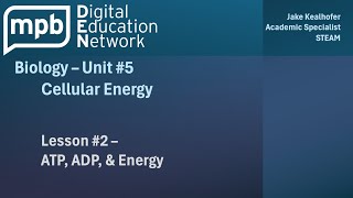 MPB Biology Unit 5 Lesson 2 ATP ADP and Energy [upl. by Jaye]