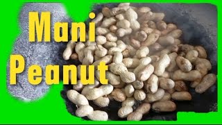 Nilagang ManiBoiled Peanuts 🥜🥜 Ang Tamang Paglutocooking NikChannelHK [upl. by Lorou]