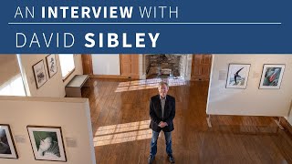 Interview with David Sibley [upl. by Nyloj464]