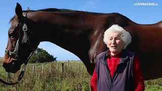 Champion Jumper Sea King Enjoys Retirement Bliss at Hawkes Bay Beach Home [upl. by Nossah]