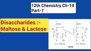 12th Chemistry Ch14 Part7Disaccharides MALTOSE amp LACTOSE Study with Farru [upl. by Yance349]