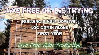 Solo building a log cabin Living the dream in the woods  Dovetail log cabin  First Year [upl. by Zurn]