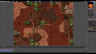 Tibia Hive  Tibia 17  ek solo [upl. by Adamis]