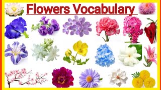 Flowers Name  Flowers Name with pictures  Flowers vocabulary [upl. by Lulita]