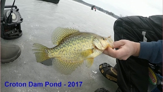 GVSU Ice Fishing Tounament 2017  Croton Dam Pond [upl. by Duffie]