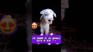 Los sonidos de los animales según niños completo  viralvideo tiktok niños animales humor [upl. by Inavoj]