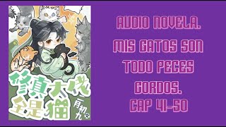 audio Novela mis gatos son todos peces gordos 4150 [upl. by Joiner566]