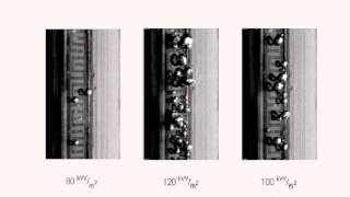 TwoPhase Flow Boiling [upl. by Ynnig851]