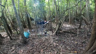 SOLO CAMPING DI RAWA DI DATANGI MAKHLUK PENGUASA HUTAN INI [upl. by Trilley]