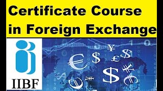 Certificate Course in Foreign Exchange IIBF 2023  REMOTE PROCTORED EXAMS IIBF CERTIFICATE EXAMS [upl. by Ehc]