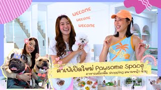 วันหยุดกับเธอ quotเพื่อนซี้สี่ขาquot  Pet Lover by Jerhigh EP30 [upl. by Garneau]