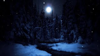 Owls hooting and a gentle stream flowing in the night [upl. by Eelhsa197]