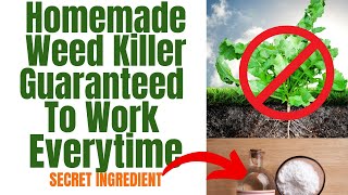 Natural Weed Killer That Works Better Than Round Up  DIY That Saves Money And Works In 24 Hours [upl. by Sialac748]