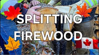 BIG FIREWOOD LITTLE SPLITTER [upl. by Eisinger]